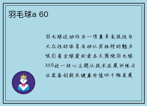 羽毛球a 60