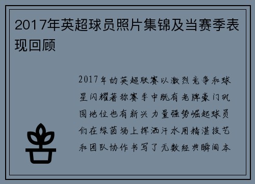 2017年英超球员照片集锦及当赛季表现回顾